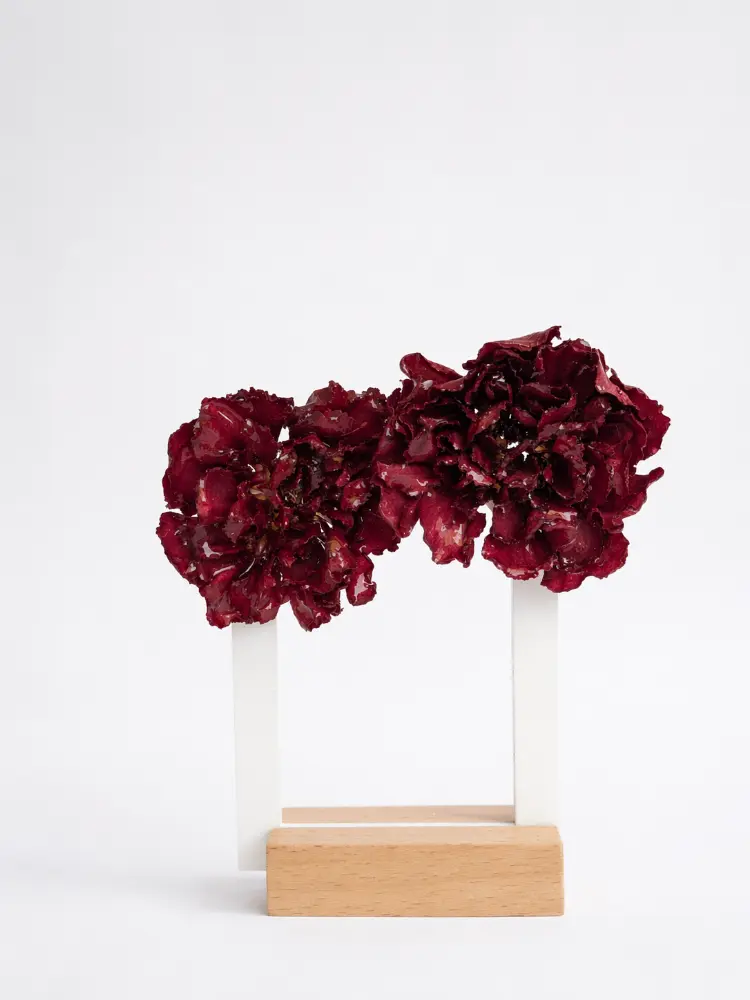 Carnation earrings – Mångata Studio